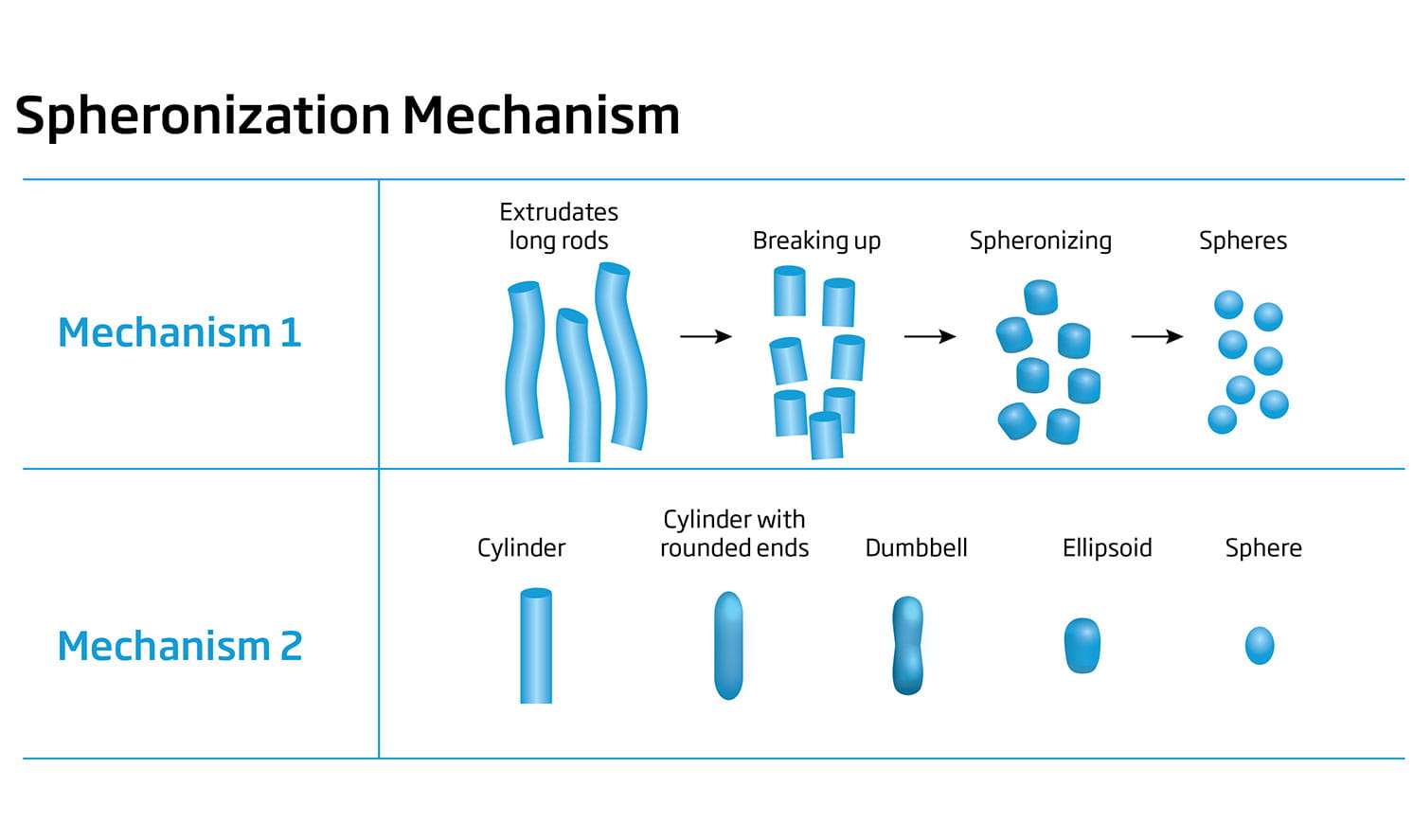 Spheronization Mechanism 